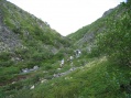 tn_04-07-20-i10.jpg