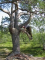 tn_04-07-23-i03.jpg