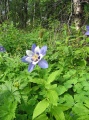 tn_05-07-25-i05.jpg