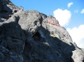 tn_06-08-09-i44.jpg