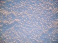 tn_winter01.jpg